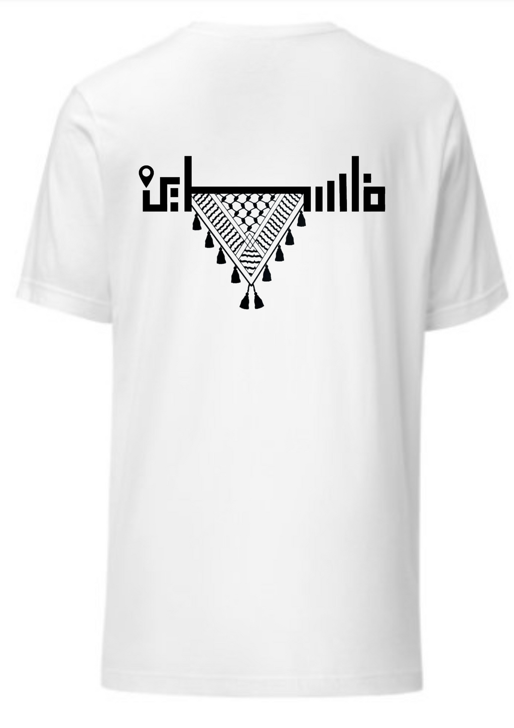 All Eyes on Palestine Drop Shoulder Terry Fabric T-Shirt