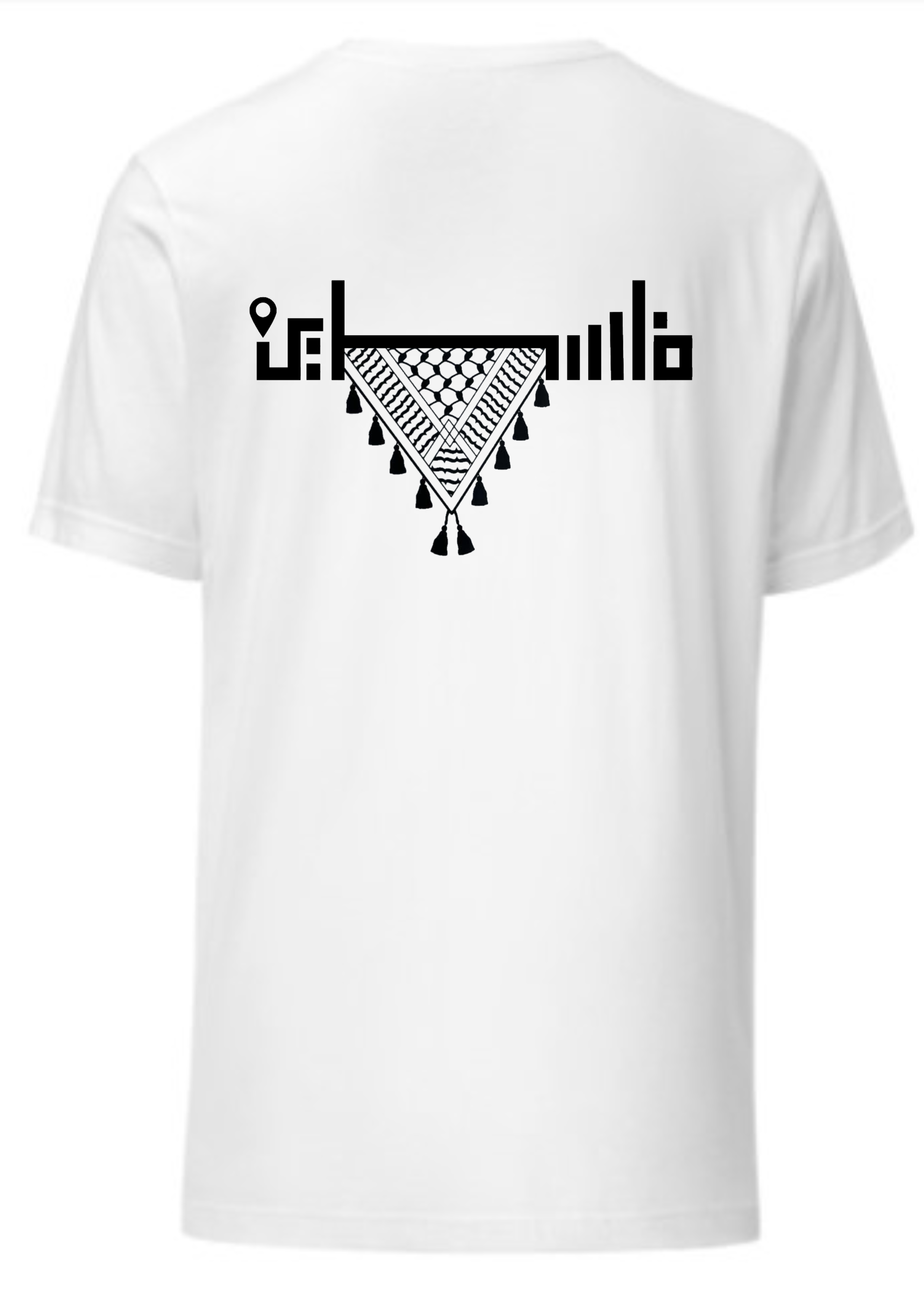 All Eyes on Palestine Drop Shoulder Terry Fabric T-Shirt