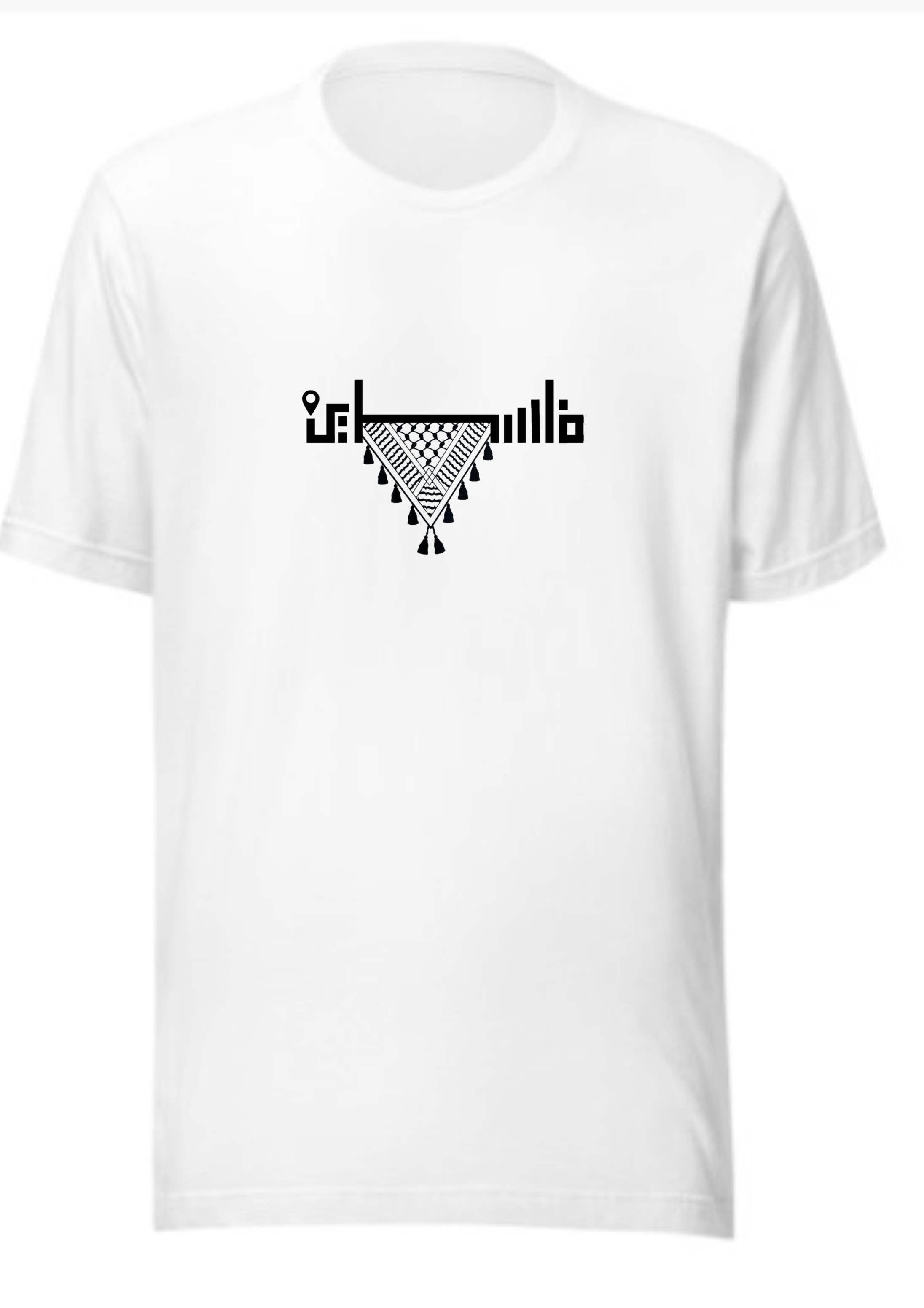 All Eyes on Palestine Drop Shoulder Terry Fabric T-Shirt